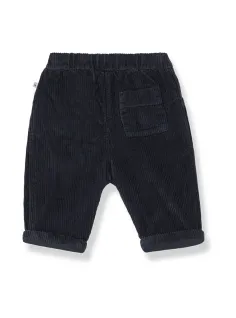 Pantalone velluto 2