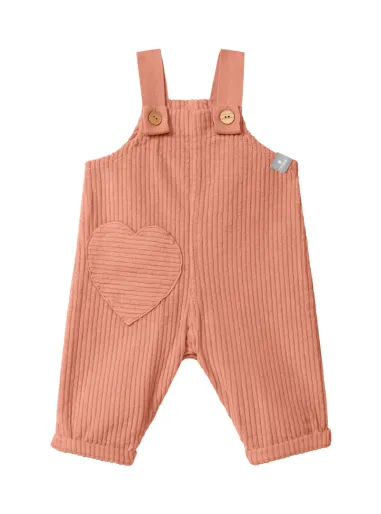 Velvet overalls