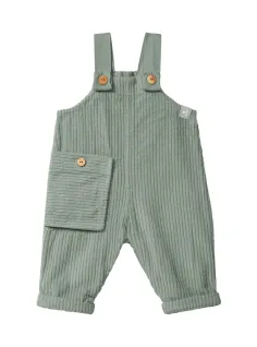 Velvet overalls