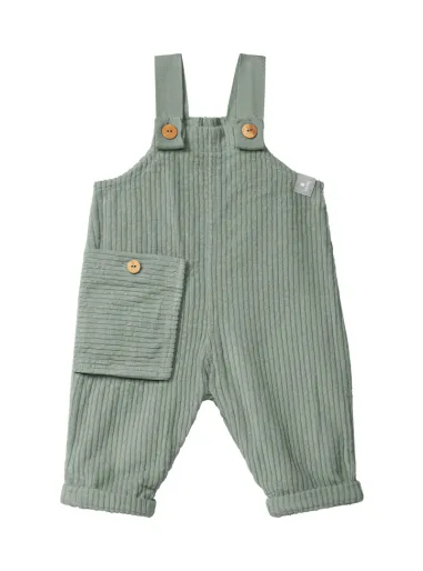 Velvet overalls