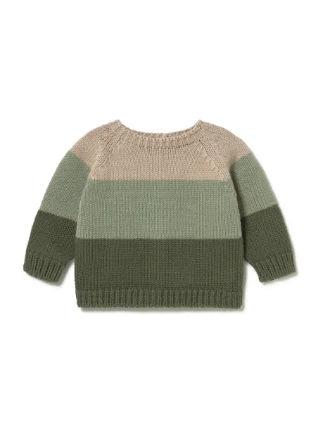 Maglia tricolore Calvin