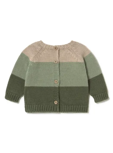 Maglia tricolore Calvin