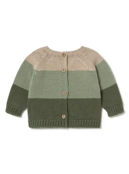 Maglia tricolore Calvin