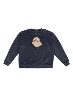 Chenille sweatshirt with embroidery