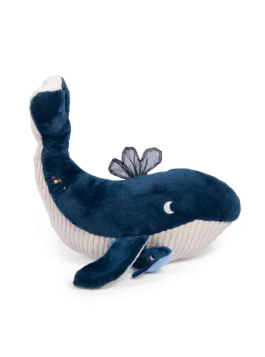 Balena Attività  Le Avventure di Paulie