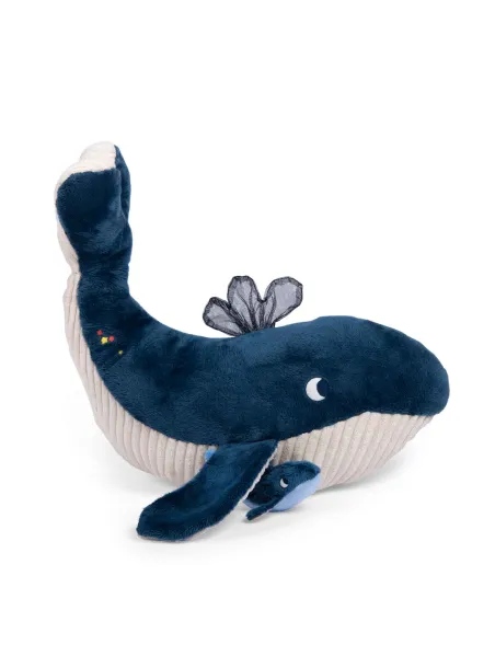 Balena Attività  Le Avventure di Paulie