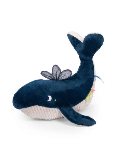 Balena Attività  Le Avventure di Paulie