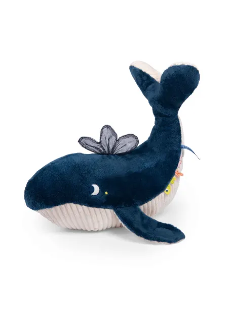 Balena Attività  Le Avventure di Paulie