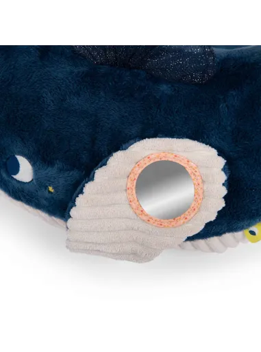 Balena Attività  Le Avventure di Paulie