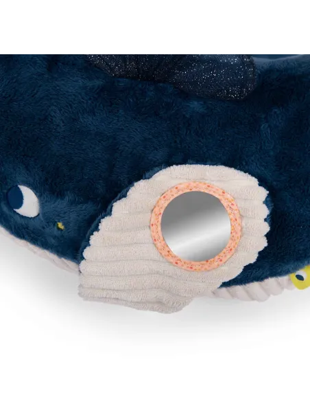 Balena Attività  Le Avventure di Paulie