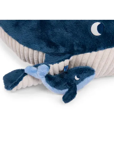 Balena Attività  Le Avventure di Paulie