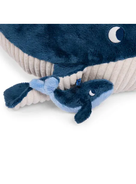 Balena Attività  Le Avventure di Paulie