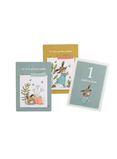 Cofanetto carte I miei Primi 12 mesi