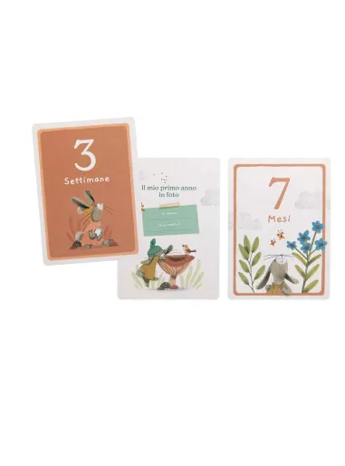 Cofanetto carte I miei Primi 12 mesi