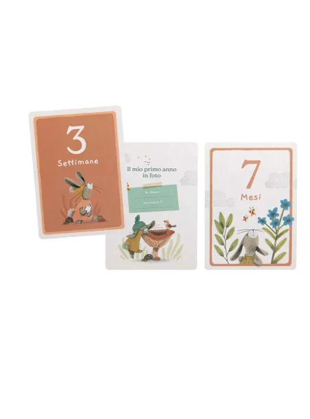 My First 12 Months Card Box in Italian