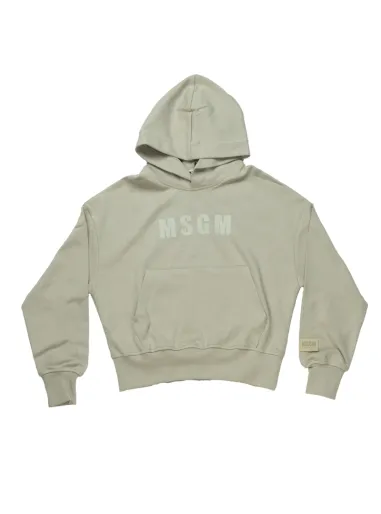 Hoodie sweatshirt