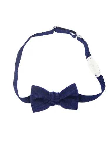 Bow tie