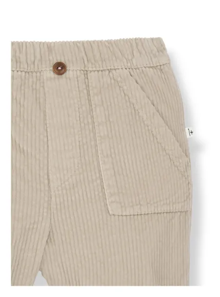 Pantalone velluto Louis