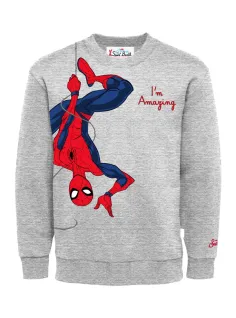 Felpa Spider Amazing Hang