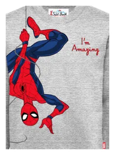 Felpa Spider Amazing Hang 2