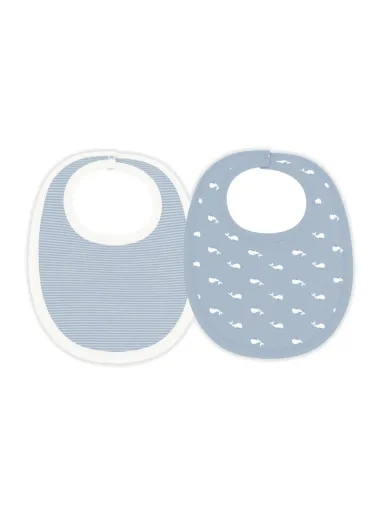 Set of 2 bibs