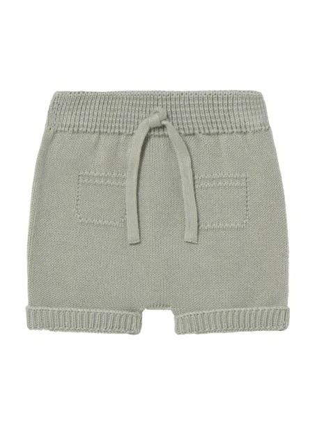Aris Shorts Pants