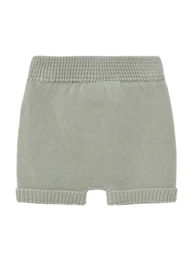 Aris Shorts Pants